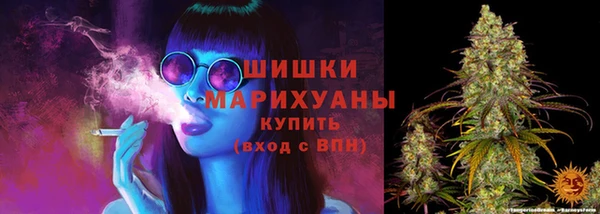 ECSTASY Белокуриха