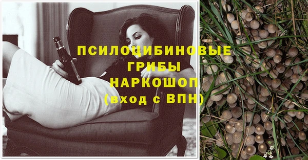 индика Белоозёрский