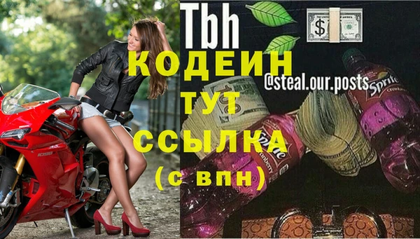 ECSTASY Белокуриха