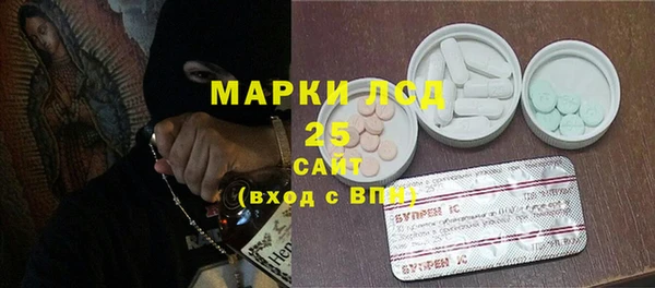 ECSTASY Белокуриха