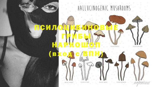 МДМА Беломорск