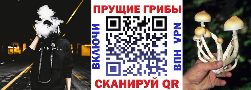Галлюциногенные грибы GOLDEN TEACHER  хочу   это состав  Светогорск 